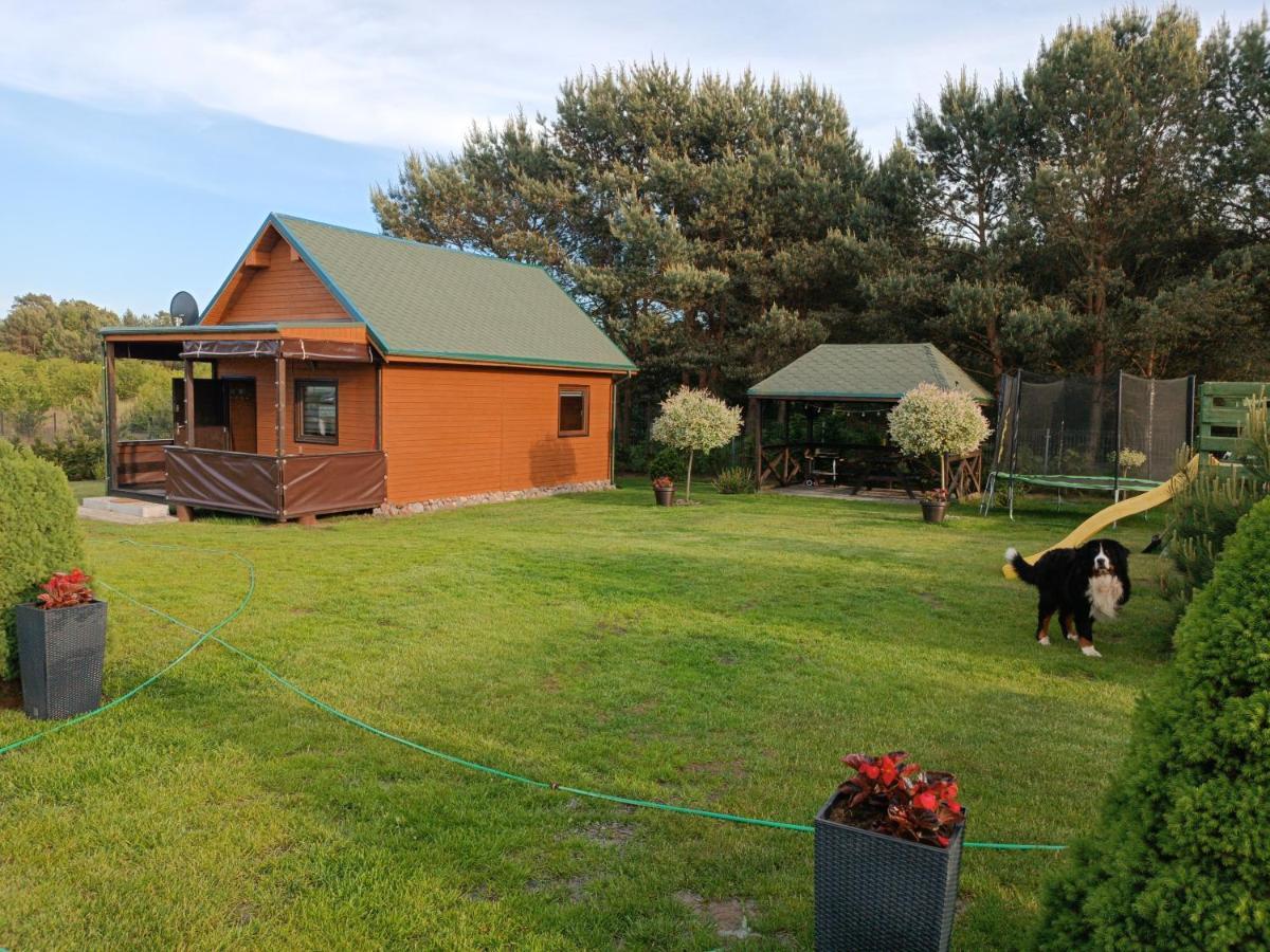 U Benka Villa Wisełka Exteriör bild